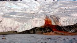 Кровавый водопад из микроорганизмов в антарктиде Кроваво красный водопад антарктида