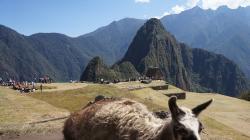Четыре дня в Перу: от Лимы до Мачу-Пикчу Лима куско как добраться